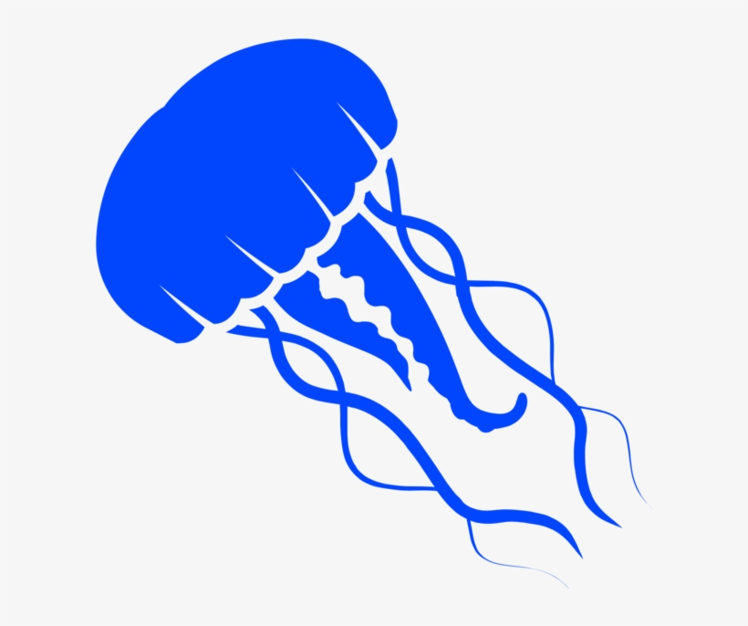 Jellyfish - Portable Network Graphics, transparent png #308134