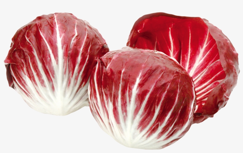 Radicchio Red Salad Png Image - Red Radicchio, transparent png #308270