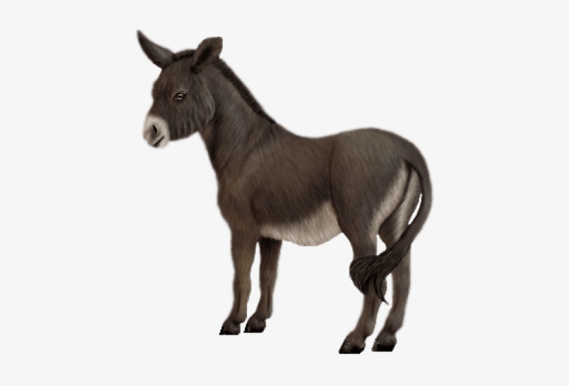 Free Png Donkey Png Images Transparent - Осел Png, transparent png #308341