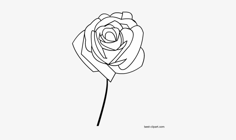 Black And White Rose Clip Art Free - Clip Art, transparent png #308918