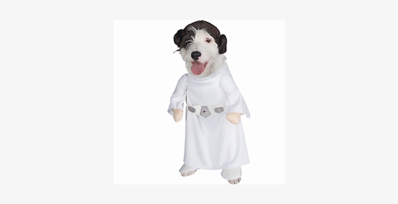 Princess Leia - Halloween Costumes For Dogs 2018, transparent png #309193