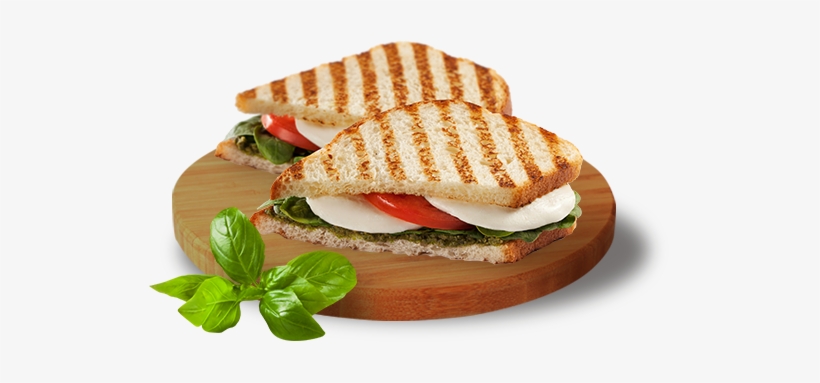 Grilled Sandwich Png - Panini, transparent png #309219