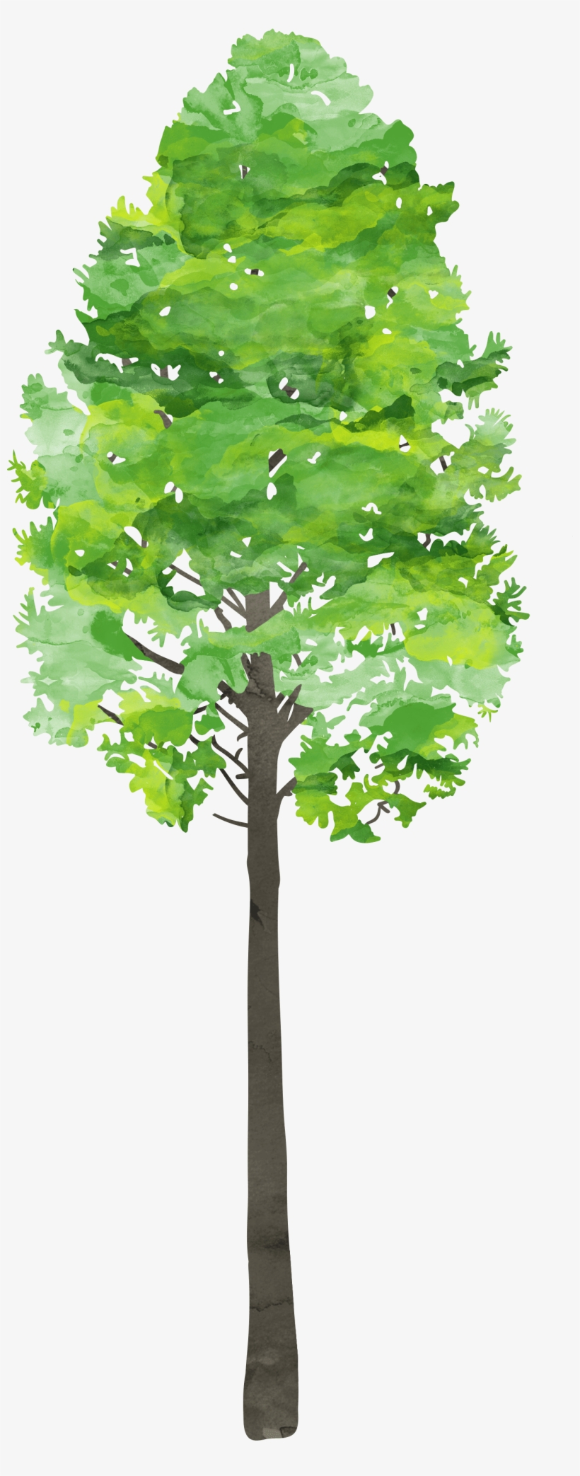 Please Send Campers With Sunhat, Sunscreen And A Packed - Plane, transparent png #309270