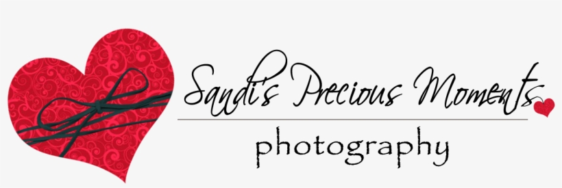 Sandi's Precious Moments Photography - Logo, transparent png #3000037