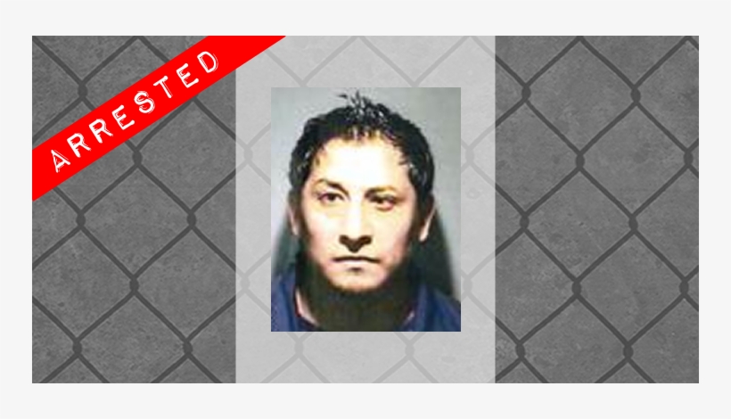 Ice 'most Wanted Fugitive' Captured In New Jersey - Pk Bands (white) - Trick, transparent png #3000138
