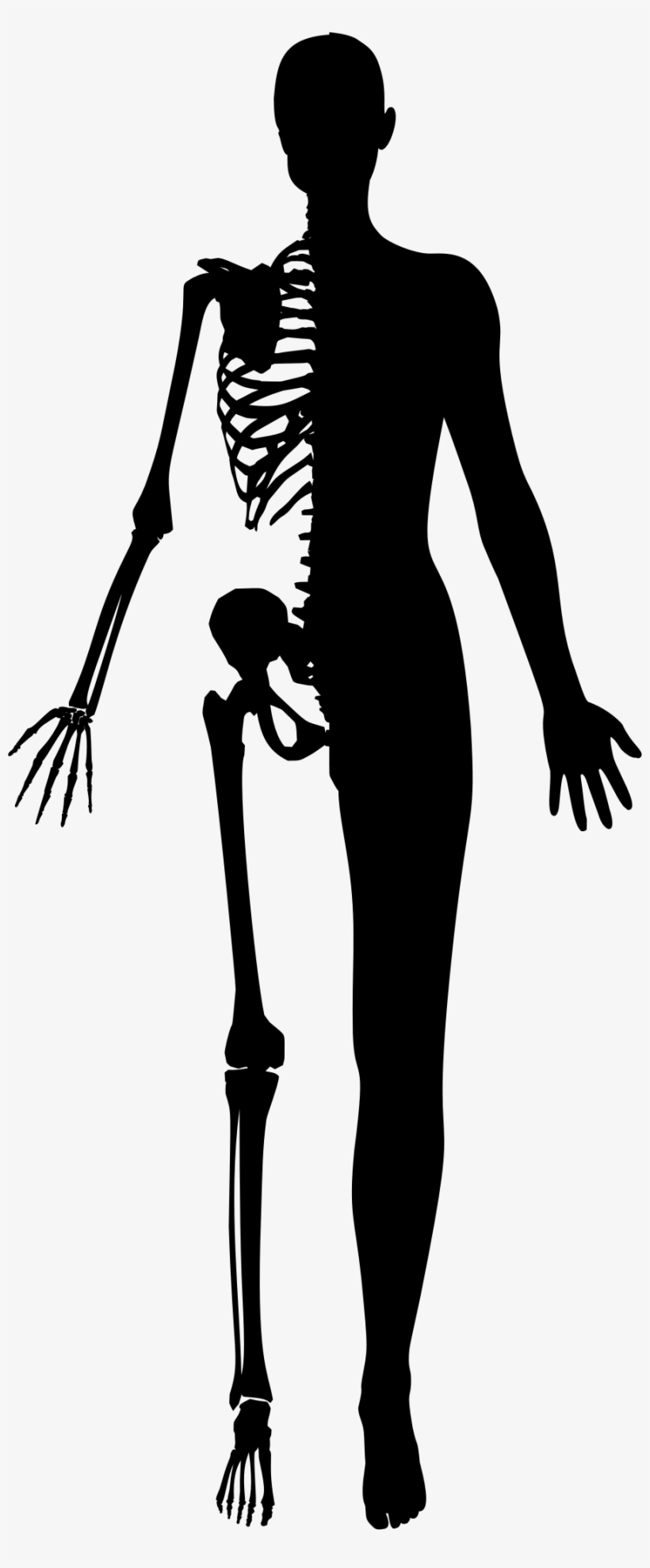 This Free Icons Png Design Of Half Woman Half Skeleton, transparent png #3000828