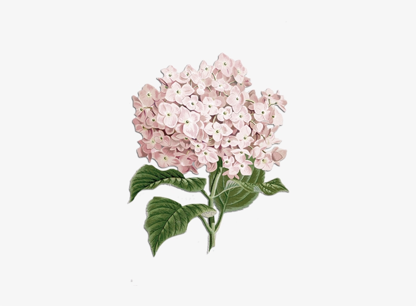 Beautifully Crafted Vintage Shabby Chic Handmade Gifts - Shabby Chic Flowers Png, transparent png #3001037