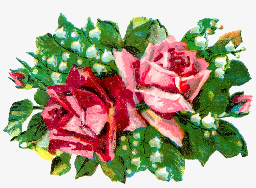Shabby Chic Rose Image - Pink, transparent png #3001082