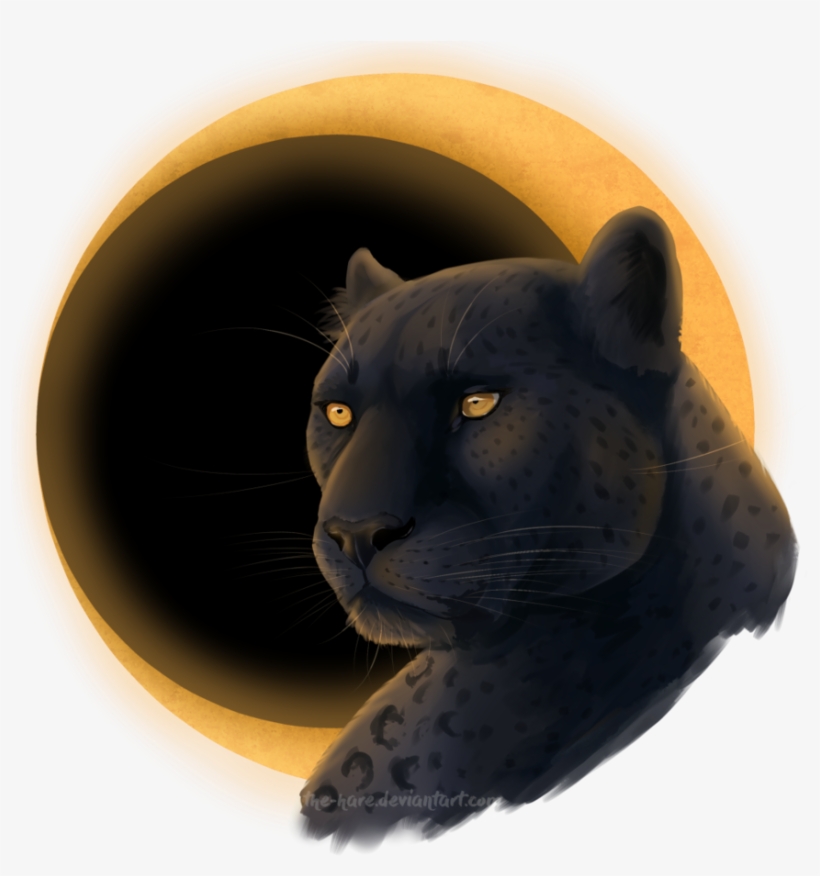 Sal - Moon, transparent png #3001862