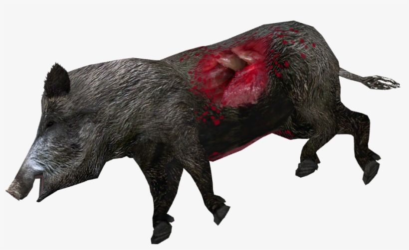 Dead Wild Boar, transparent png #3003378