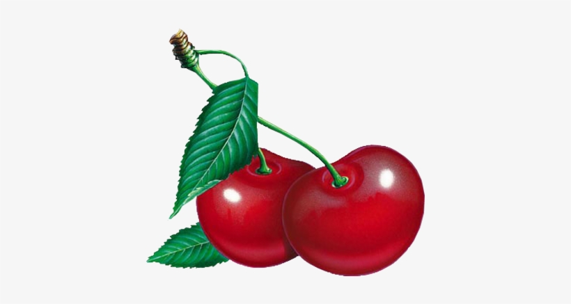 Cherry Clipart Five - Черешня Png, transparent png #3003445