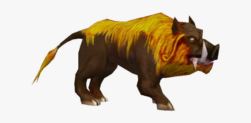 Wild Boar - Free Transparent PNG Download - PNGkey