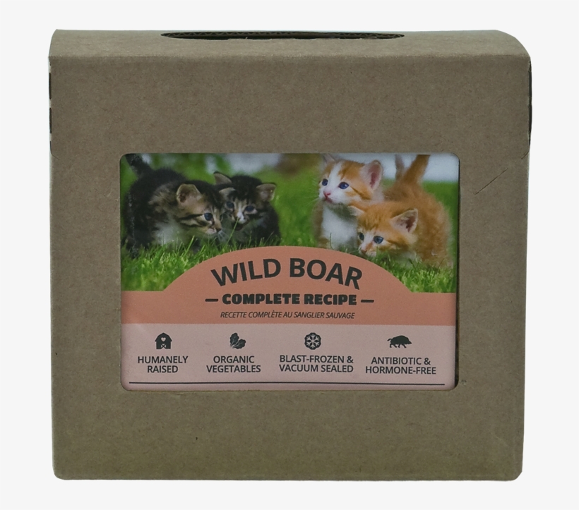 Wild Boar Complete For Cats - Wild Boar, transparent png #3003992