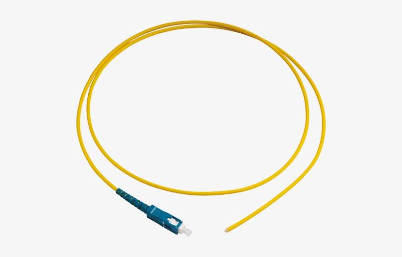 Clipsal Offers A Complete Range Of Pigtails In A Wide - Circle, transparent png #3004256