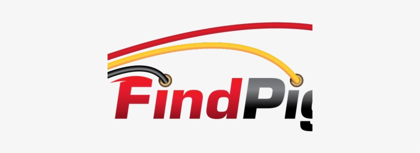 Find Pigtails - Findpigtails, transparent png #3004672