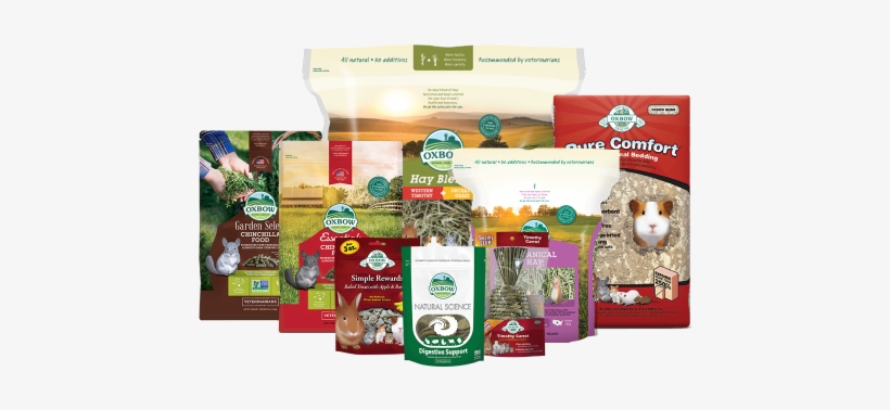 Chinchilla Care - Oxbow Pure Comfort Bedding Oxbow Blend, transparent png #3005616