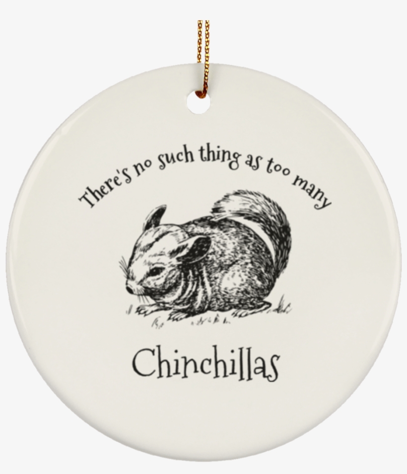Chinchilla Lover's Christmas Tree Ornament Ceramic - Complete Guide To Chinchilla Care:, transparent png #3005911
