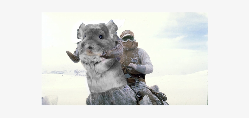 Http - //i - Imgur - Com/p9lvt7y - Star Wars Monstruos, transparent png #3006118