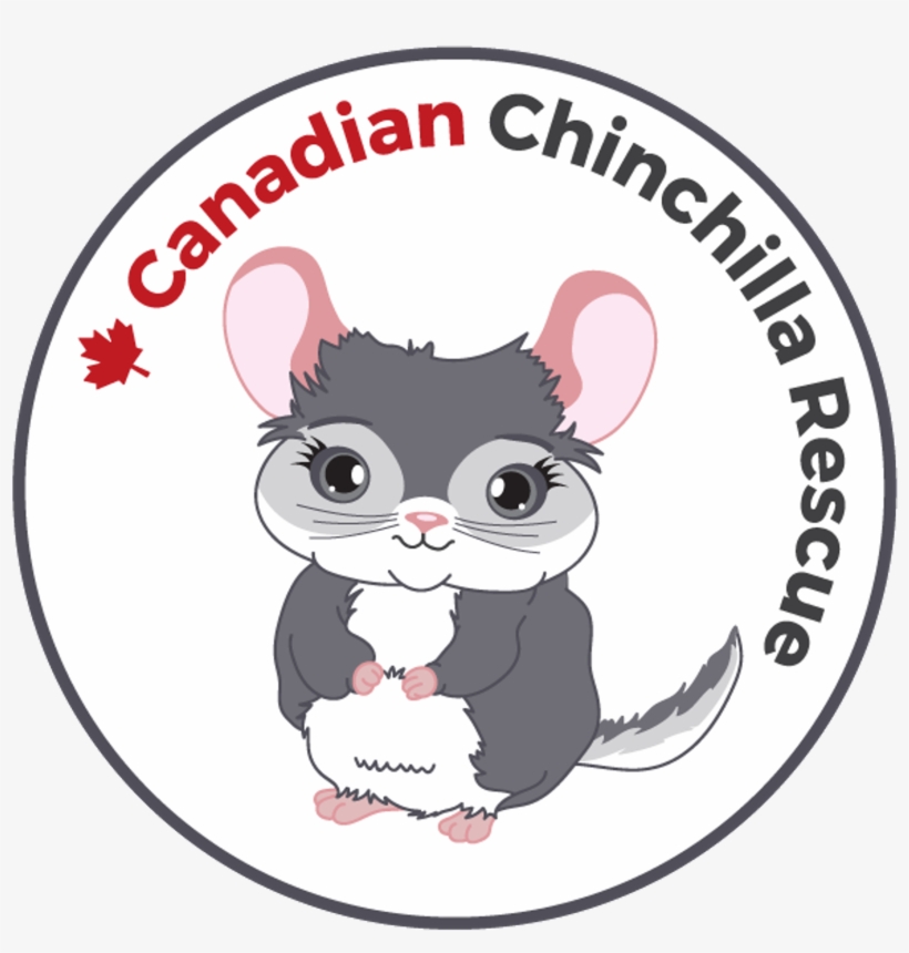 Tanya With All Her Friends From “piggles”, The Guinea - Cartoon, transparent png #3006120