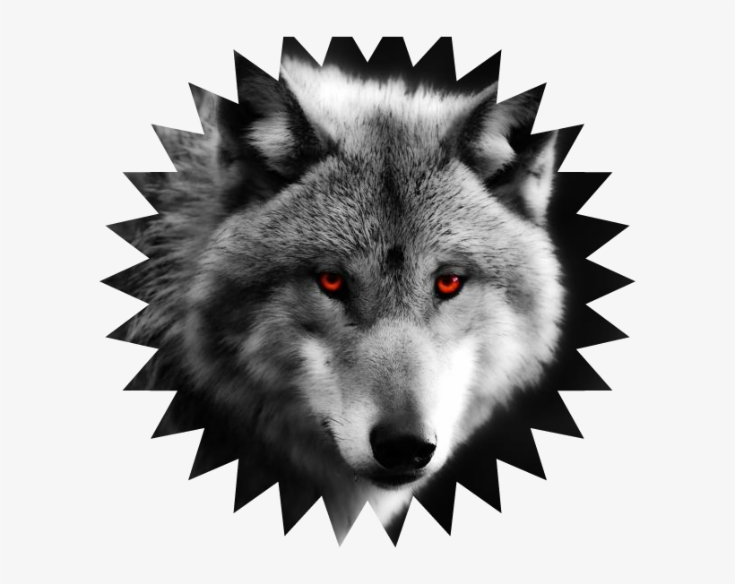 Wolf Cl3aesgfgrfose Up Weee111red Eyes Predator 1080p - Logo Jésus Agence Pub, transparent png #3007044