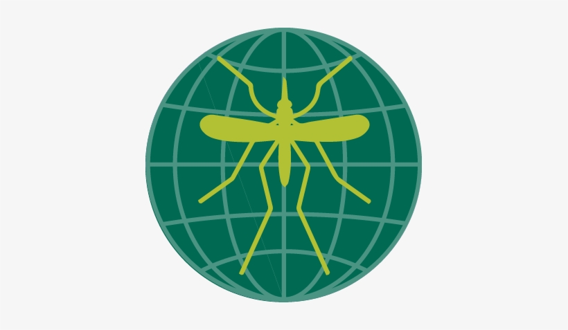 Icon Antimalarials - Malaria Icon, transparent png #3007421