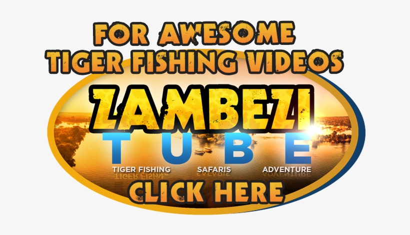 Zambezitube-logo - Evolução Da Depilação Feminina, transparent png #3007605