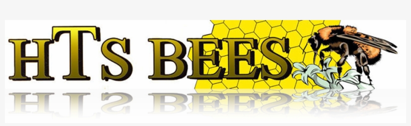 Logo - Hts Bees Llc, transparent png #3007777
