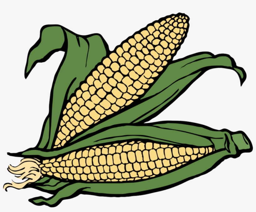 Corn Clipart Maize Clip Art - Corn Clipart, transparent png #3011023