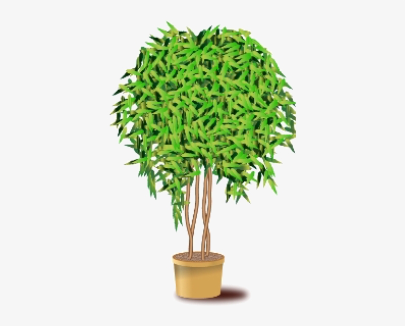 Chloroplast, transparent png #3011195