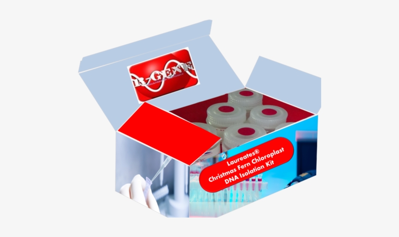 Christmas Fern Chloroplast Dna Isolation Kit - Box, transparent png #3011427