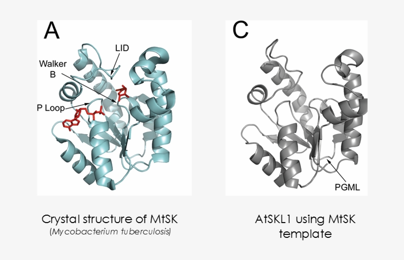 Together, These Results Reinforce Previous Notions - Graphic Design, transparent png #3011483
