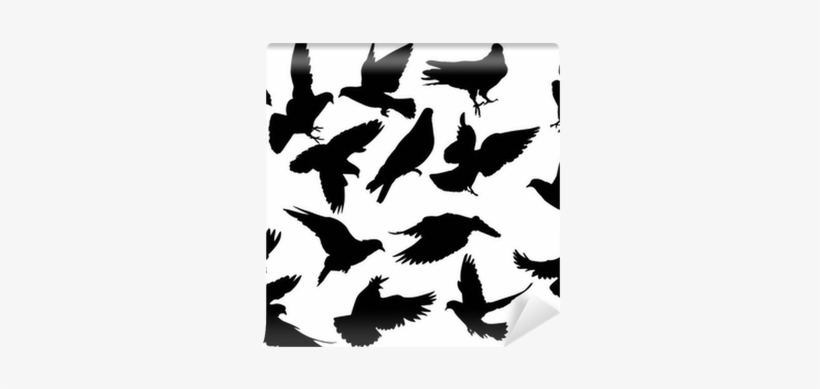 Eighteen Dove Silhouettes Isolated On White Wall Mural - Pigeon Silhouette, transparent png #3012089