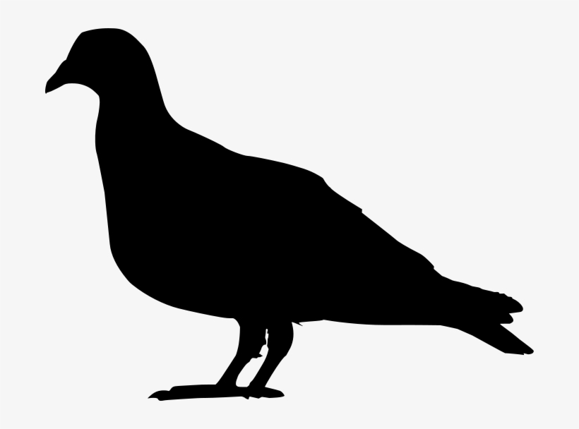 Columba Livia Luc Viatour Silhouette - Pigeon Silhouette, transparent png #3012125