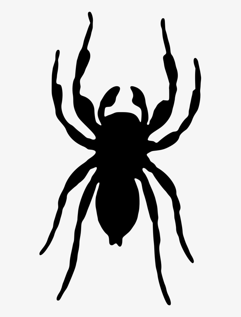 Spider Silhouette, transparent png #3012255