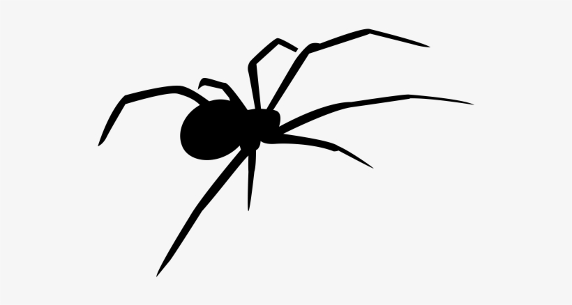Spider Icon, transparent png #3012453
