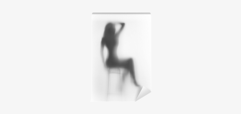 Diffuse Sitting Woman Silhouette Wall Mural • Pixers® - Monochrome, transparent png #3012511
