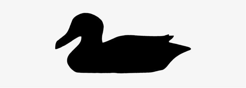 Duck,water Bird,silhouette,black - Duck, transparent png #3012993