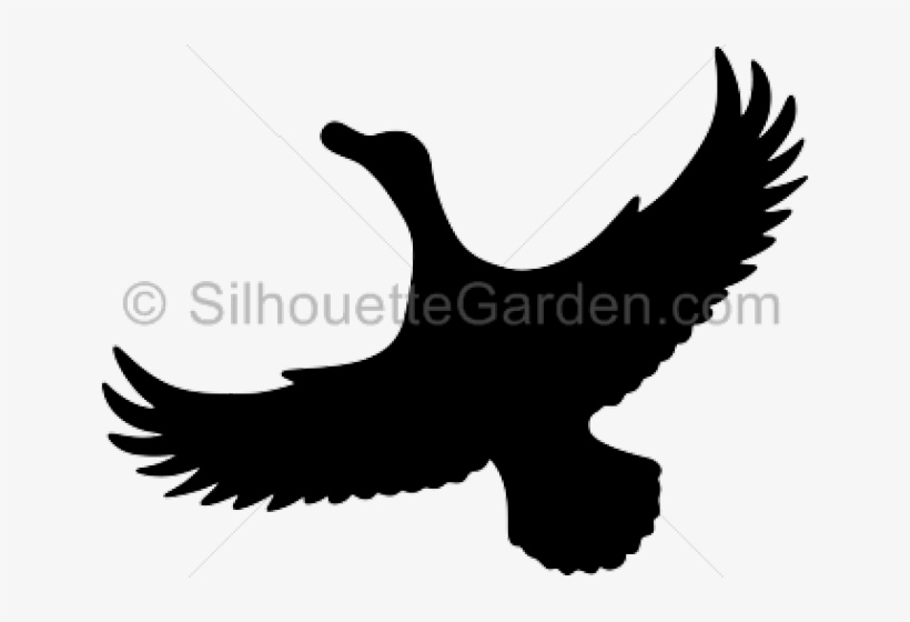 Duck Silhouette - Clip Art, transparent png #3013215