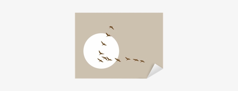 Flying Ducks Silhouette On Solar Background Sticker - Harmony In Worship: Building Supportive Relationships, transparent png #3013385