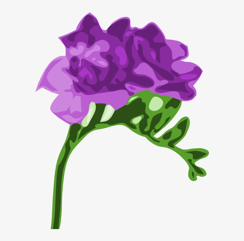 Go To Image - Purple Freesia, transparent png #3014173
