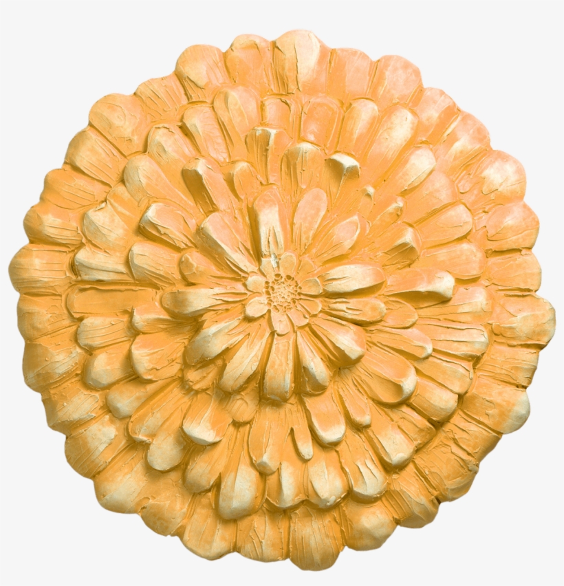 Common Zinnia, transparent png #3014205