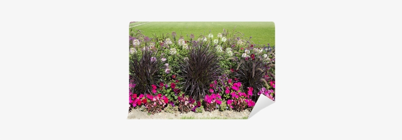 Beautiful Colorful Flower Garden With Various Flowers - Flower, transparent png #3014322