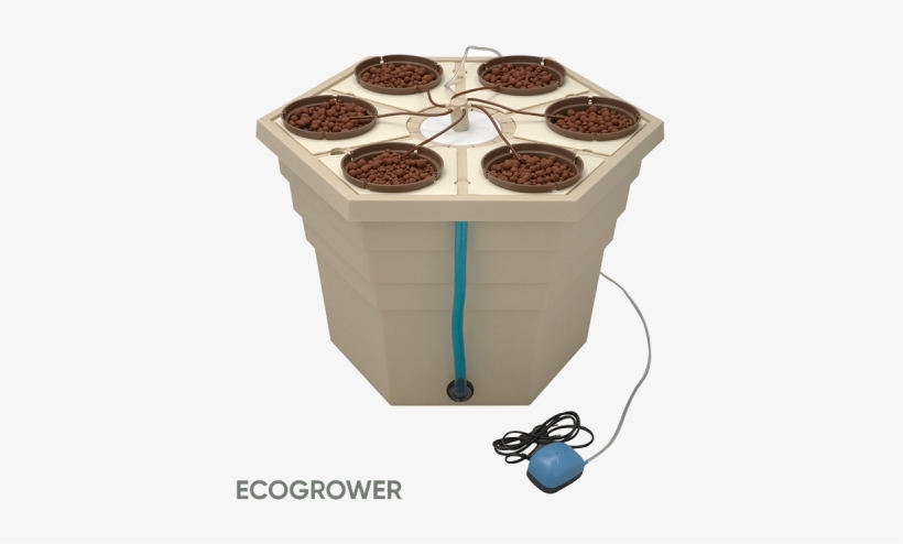 Ecogrower® - Rainforest Ghe, transparent png #3014709