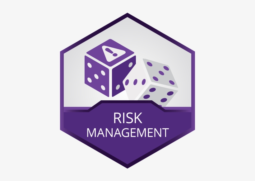 Risk Management / Fmea Training - Supply Chain Management Logo Png, transparent png #3016842
