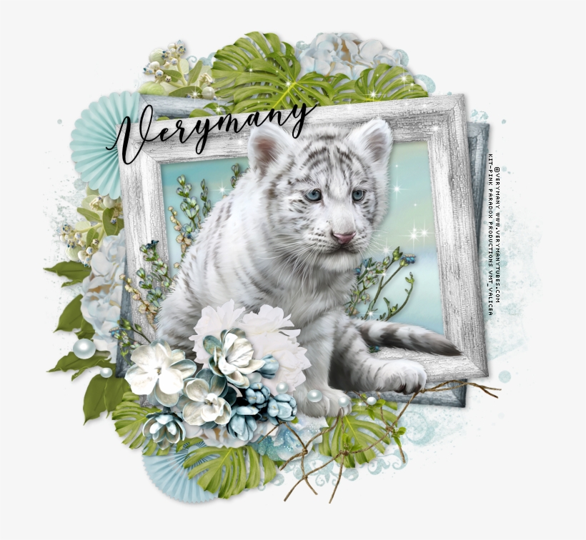 Little Tiger Summer Breeze - 2018, transparent png #3017470