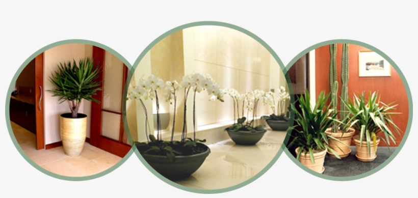 Interior Design, transparent png #3018028