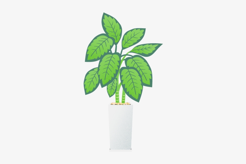 Keeping Office Plants Is No Simple Task, But It Is - Houseplant, transparent png #3018221