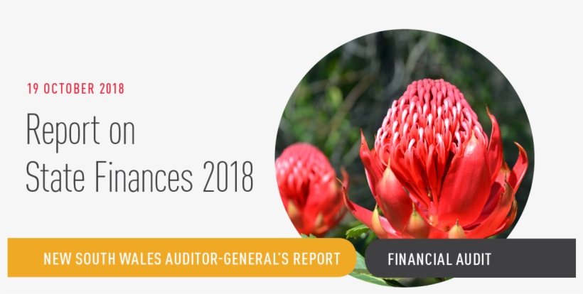 Website Banner For The Auditor-general Report On State - Protea, transparent png #3018444