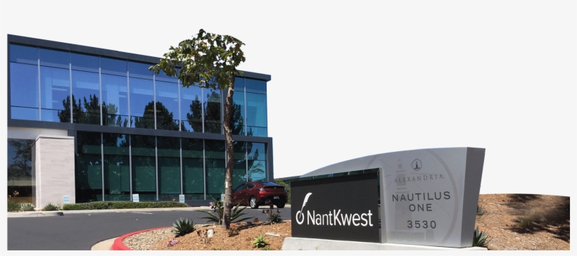 Office - Commercial Building, transparent png #3018472