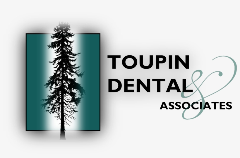 Toupin Dental And Associates - Artistic Weavers Lodge Cabin Bear Throw Pillow, Beige, transparent png #3018517